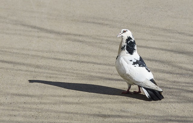 分上